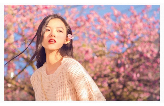 Blooming cherry blossoms adds allure to beauty of Sa Pa