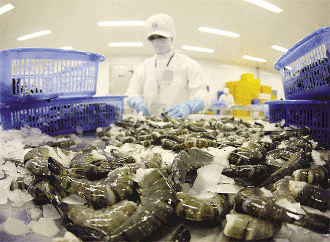 Vietnam’s shrimp exports expected to increase by more than 12% in 2020