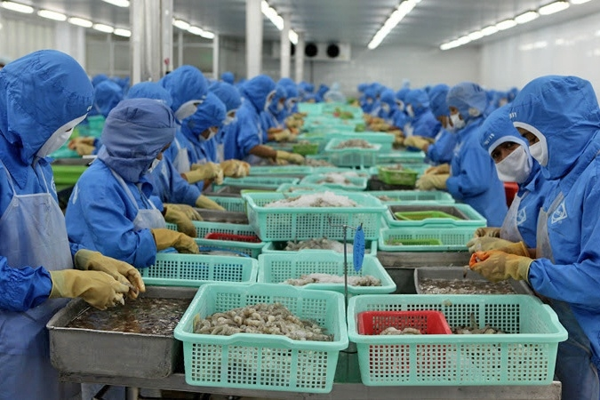 Vietnam’s shrimp exports expected to increase by more than 12% in 2020