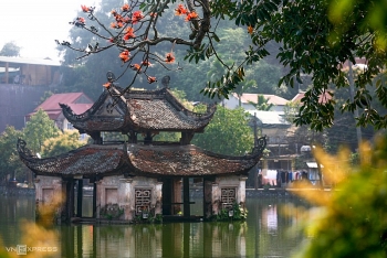 Blossoming ablaze red bombax ceiba paints Thay Pagoda a highlighted sketch.