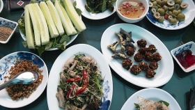 foodie thrill ride to le mat village for exotic menu of snake cnn suggests