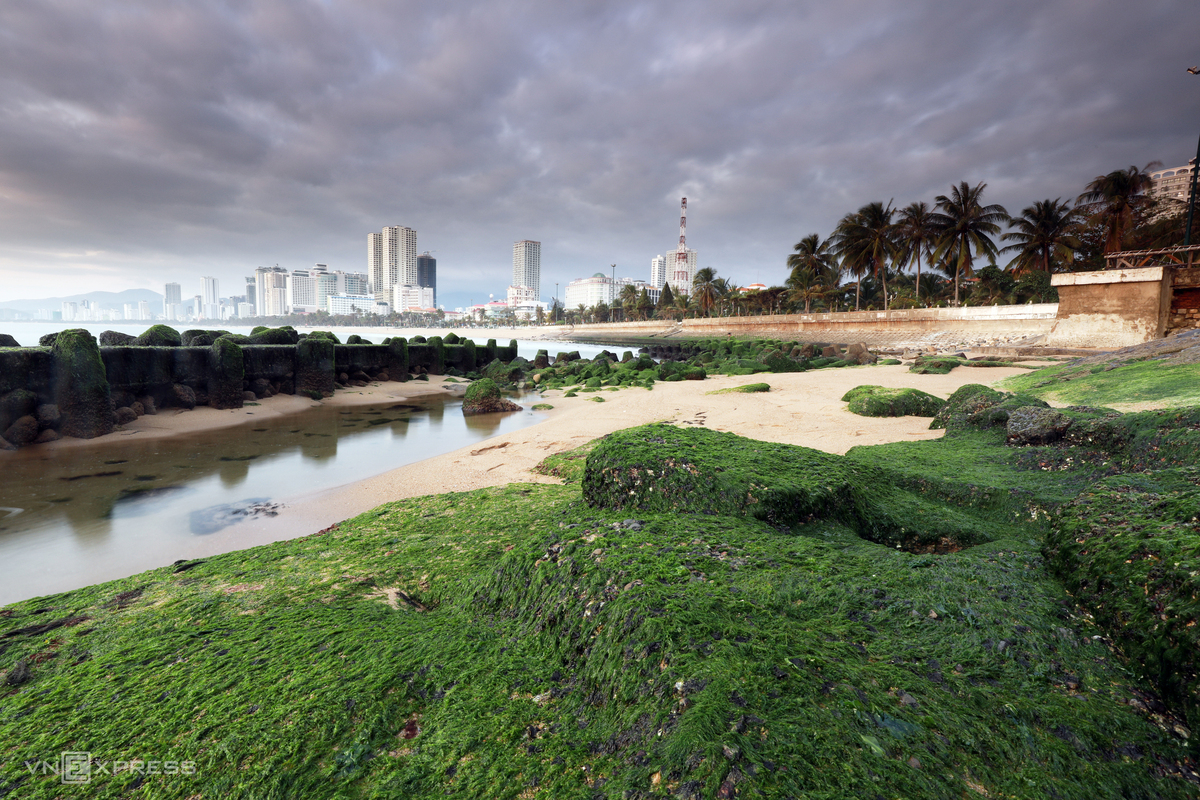 Sea wall covered with forest green moss making a touristic scene in Nha Trang