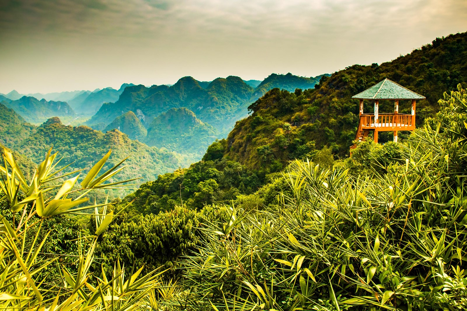 wanderlust suggests 17 must try things to do in vietnam