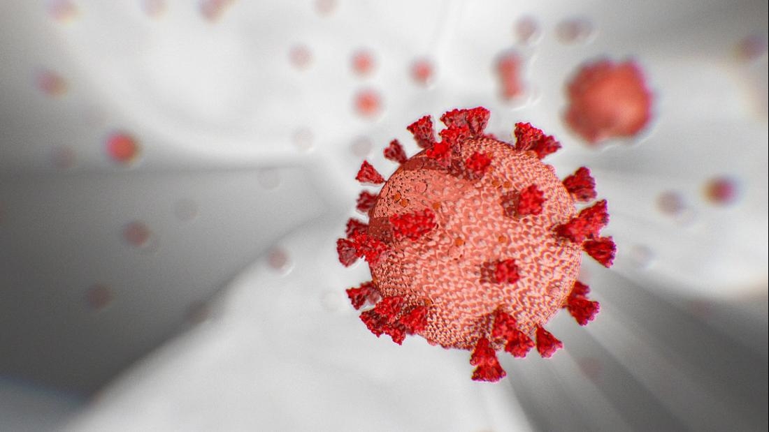 coronavirus live update vietnam goes 6 consecutive days without new infections lauded by who