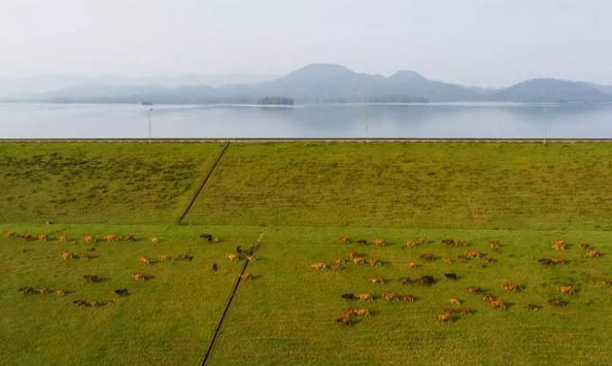 ke go lake vietnams beguiling oasis in the central province