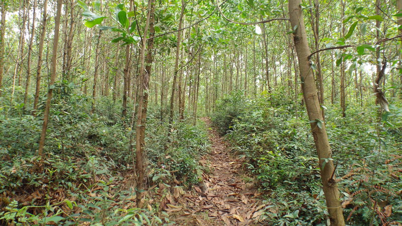 hoc khe lake the alluring ravine in the central coast of vietnam