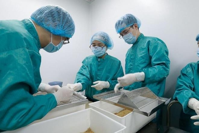 Vietnam yet to purchase Russian Covid-19 vaccine, prepares to put indegious one on human trials