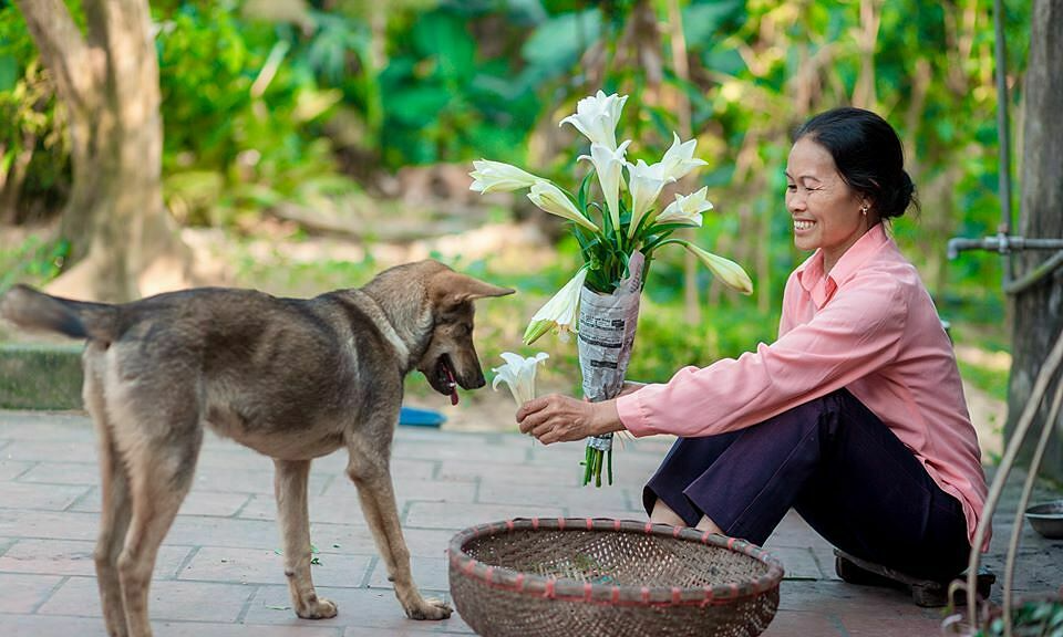 “Mom’s simple meal” channel represents Vietnam to join Youtube FanFest 2020