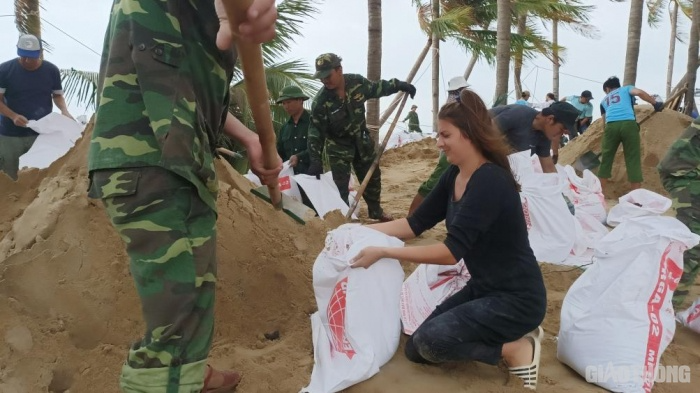 foreign visitors join hands with vietnamese to pile up ring dyke before storm in hoian