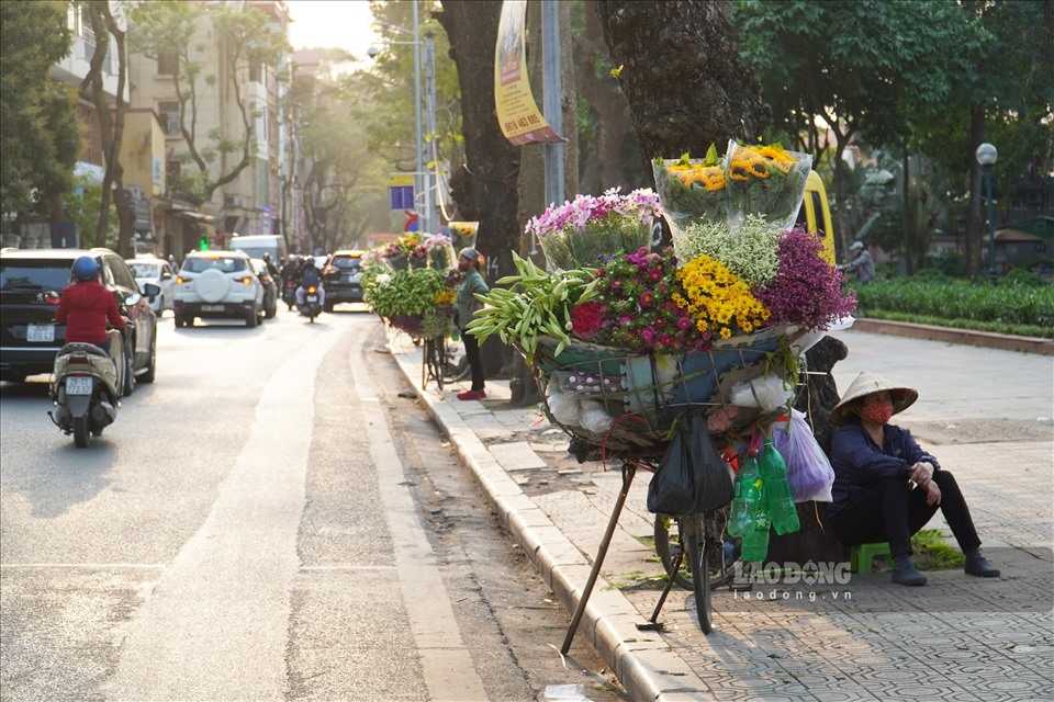 0713-lily-blooming-season-in-hanoi