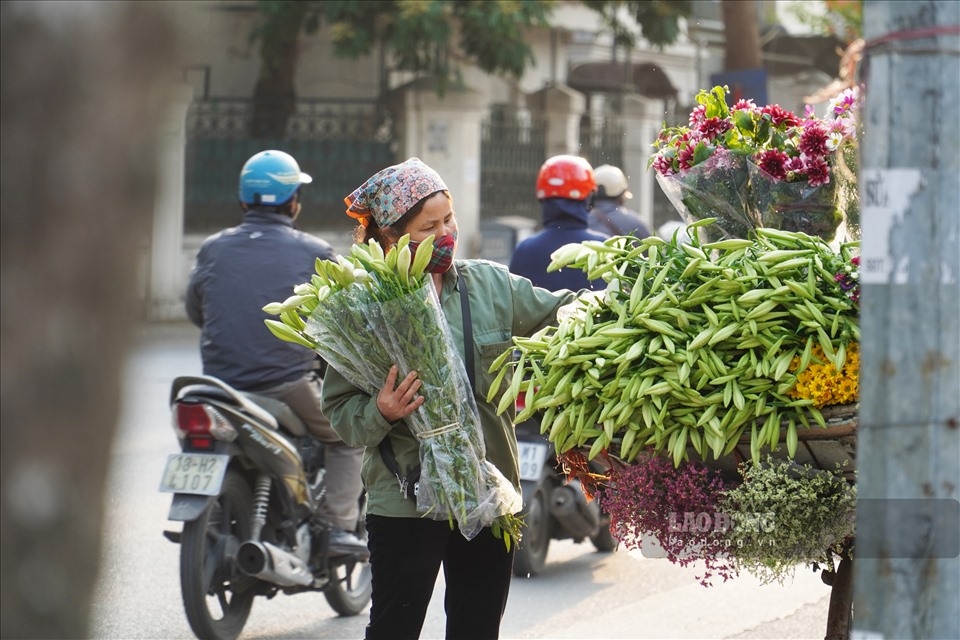 0818-lily-blooming-season-in-hanoi