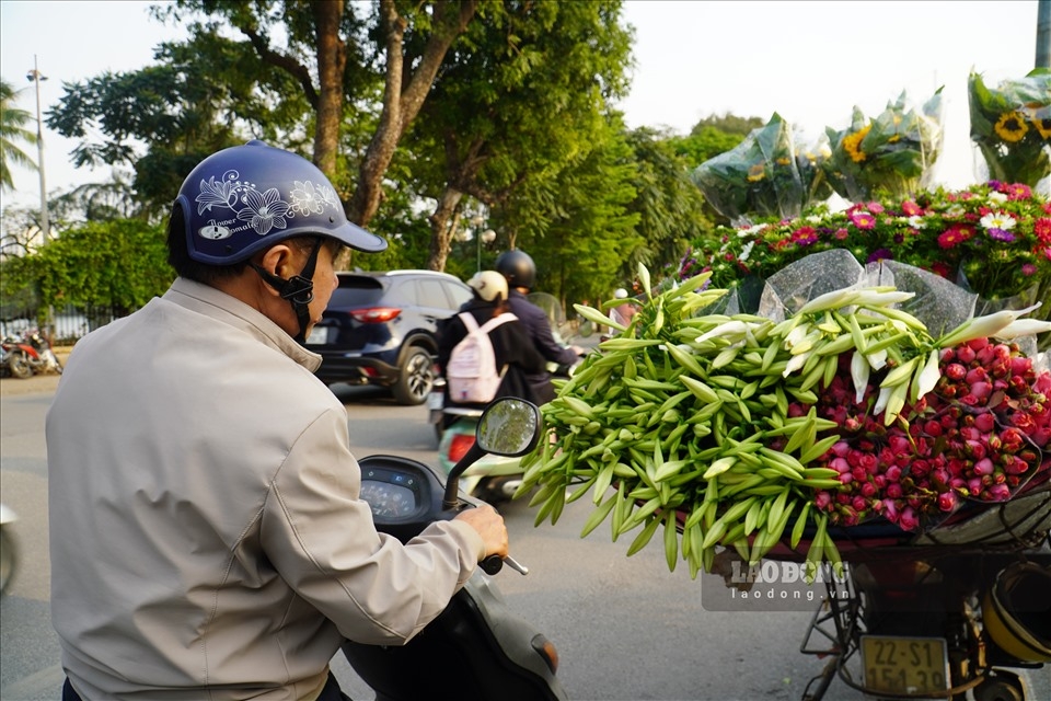 0913-lily-blooming-season-in-hanoi