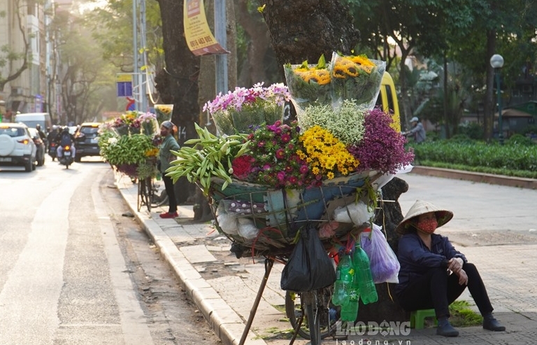 Hanoi turns romantic with lily flower blooming season