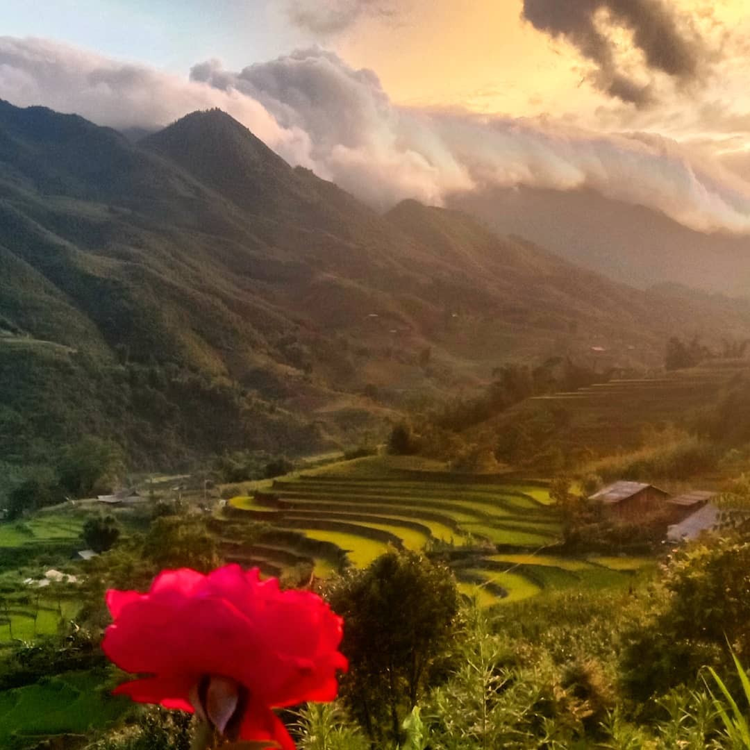 [Photo Series]: Vietnam in Bloom