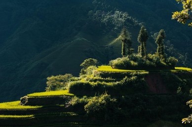 [Photo Series]: Rediscovering Vietnam
