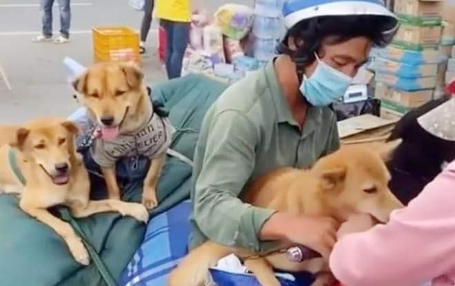 Vietnam's Pet Lovers React to the Ca Mau Killings