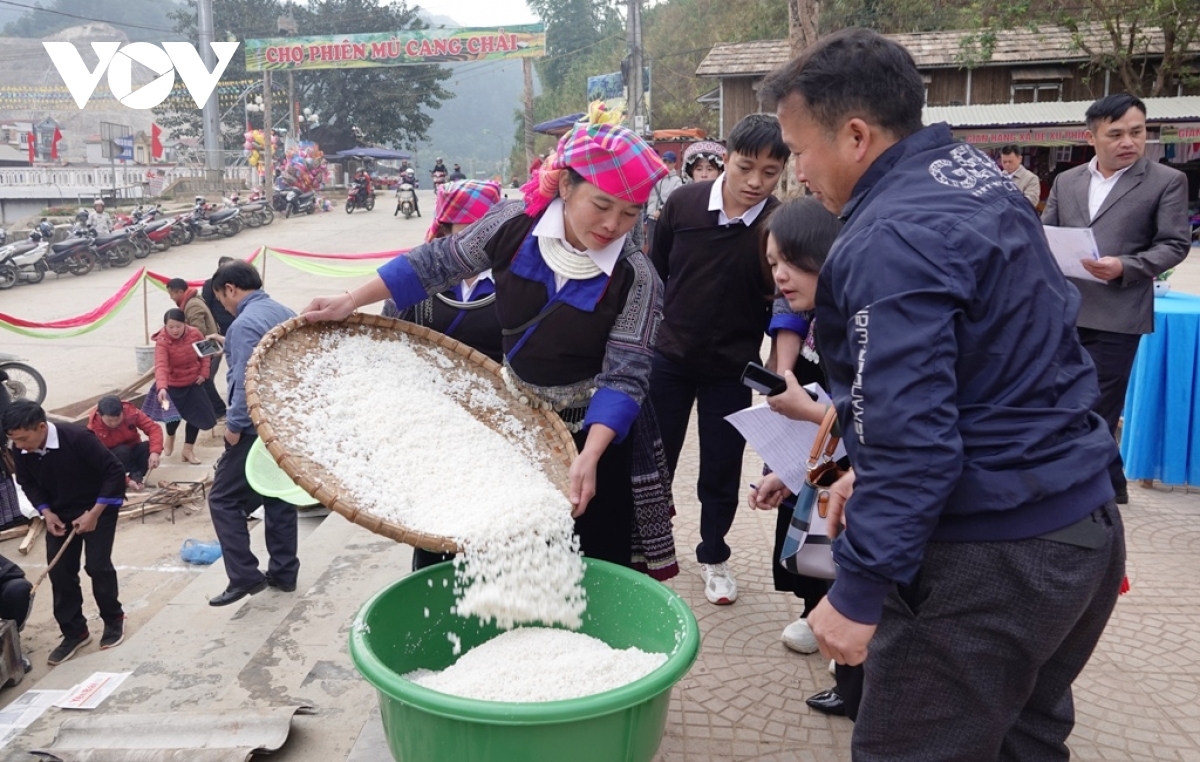 Unique Vietnamese glutinous rice dumpling making contest in northern Vietnam