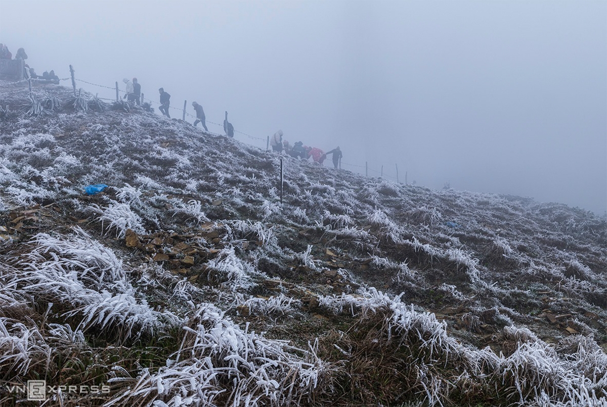 In Lang Son, things got frosted up at the top of Mau Son from January 8. The temperature stays at minus 2 or minus 3 degrees Celcius in the last two days. Since this year's winter comes, this is the first time Lang Son puts on such a frosty coat (Photo: VNE) 