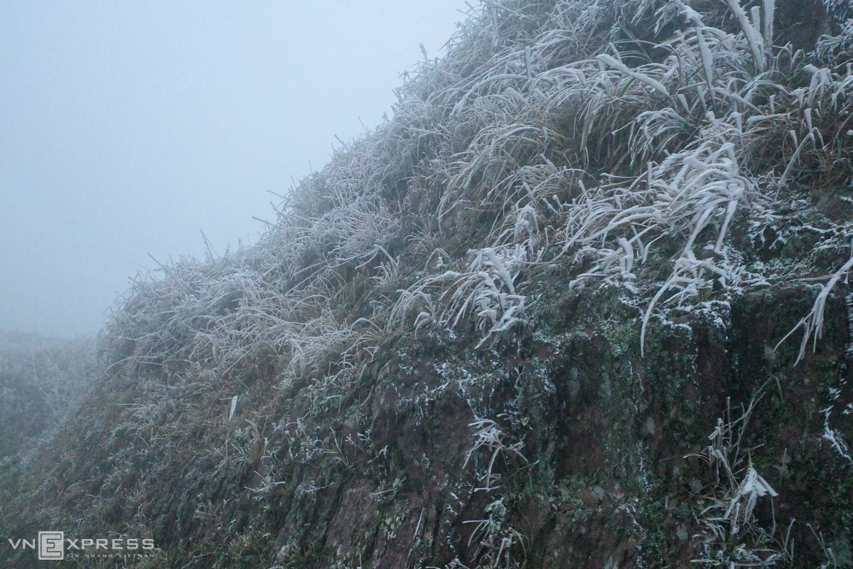 In Quang Ninh, frost appeared at the top of Dong pagoda, Yen Tu (Uong Bi city); landmark 1297 area bordering Binh Lieu district (Quang Ninh) and Dinh Lap district (Lang Son). At the top of Cao Ly mountain (Binh Lieu district), 1,000 m higher than sea level, ice is covered with trees and cliffs. (Photo: VNE) 