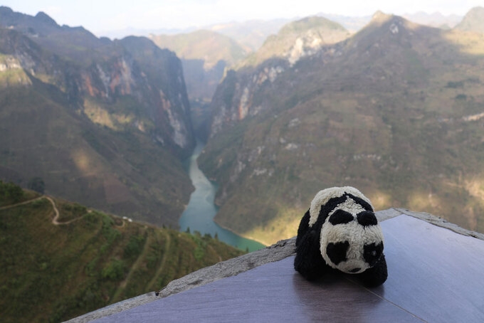 Expat travel across Vietnam in the company of Teddy bear