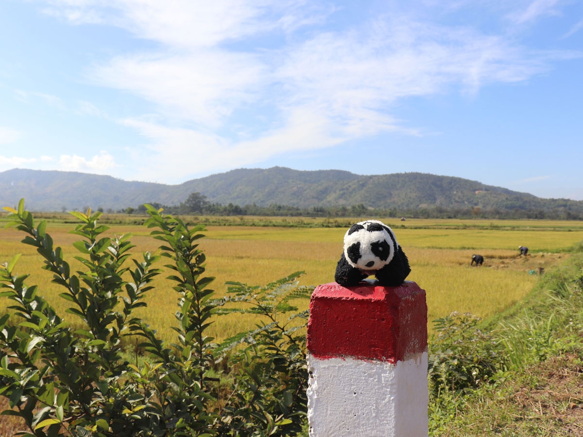 Expat travel across Vietnam in the company of Teddy bear