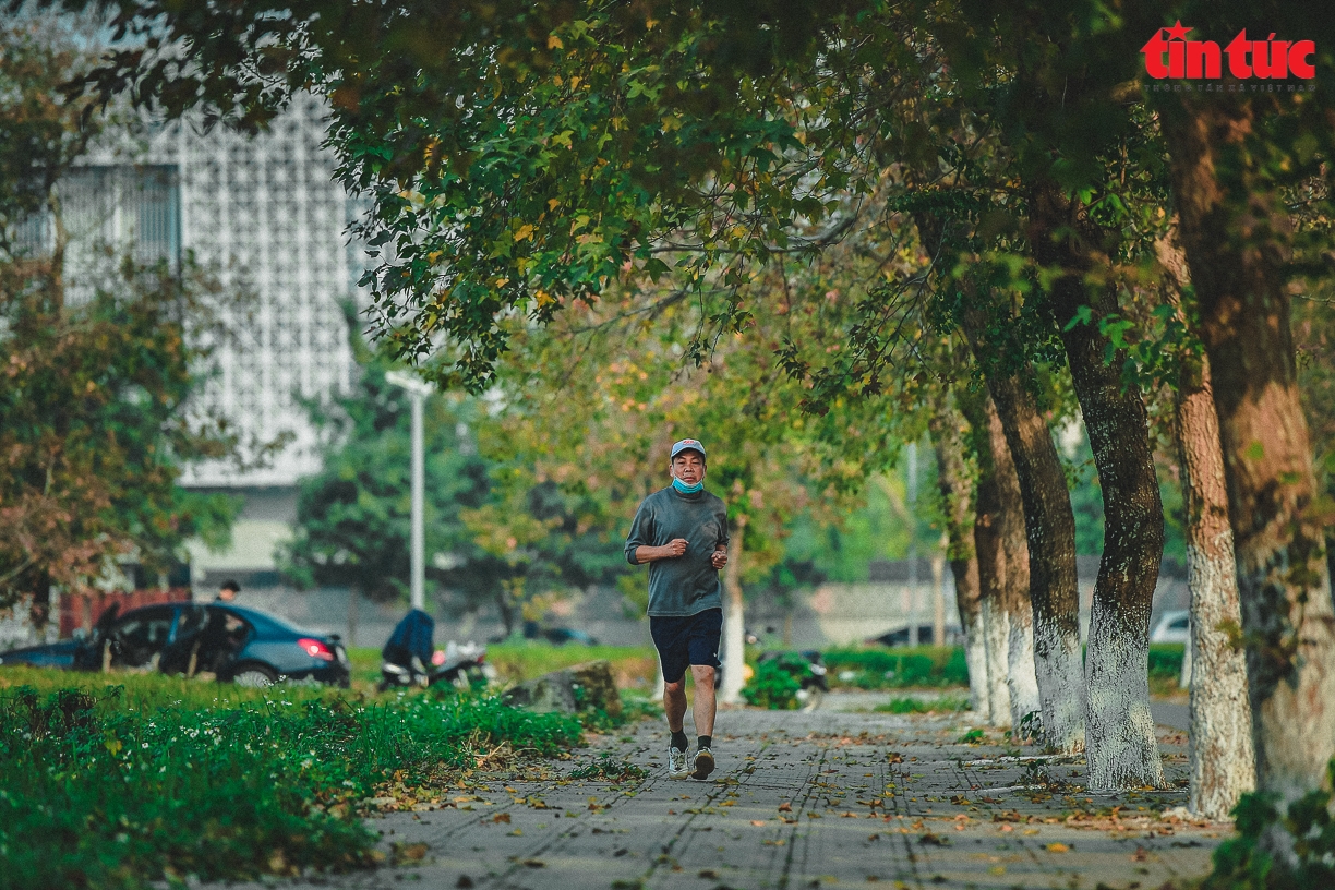 Splendid red maple leaves 'warm up' Hanoi's cold days