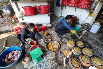 northern vietnam village busy braising thousands of fish pots as tet draws near