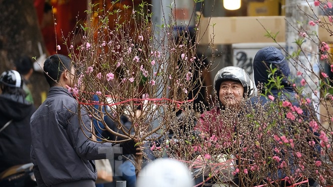 Bustling joys in Hanoi's oldest Tet flower market