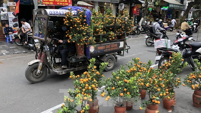 Bustling joys in Hanoi's oldest Tet flower market