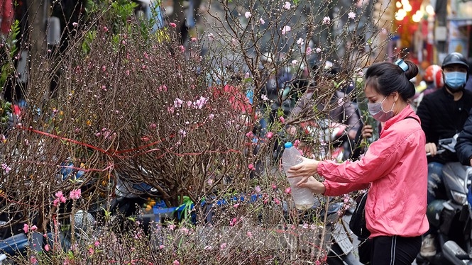 Bustling joys in Hanoi's oldest Tet flower market