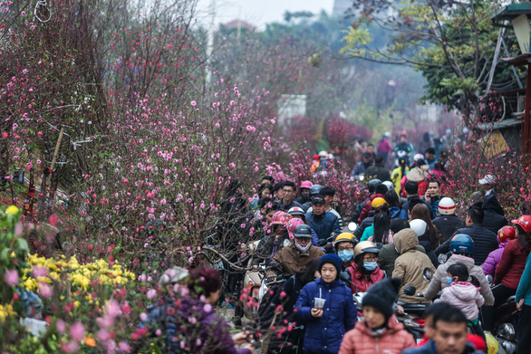 vietnam expects warm weather during lunar new year