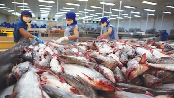 Seafood Export Beat Yearly Target, Rake in US 8.9 Billion