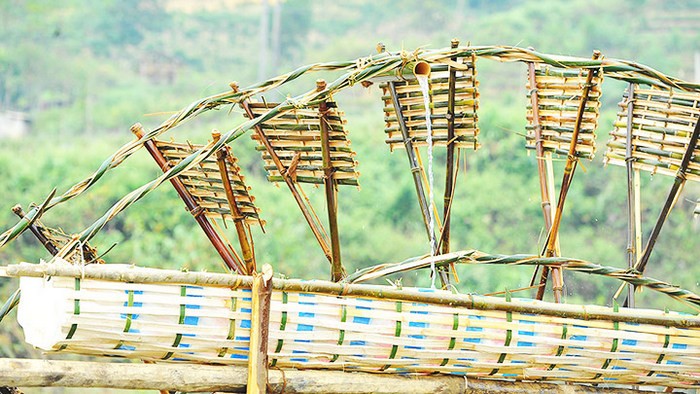 How to make Fish Trap with Bamboo 