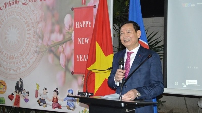 Overseas Vietnamese Across Nations Celebrate Lunar New Year