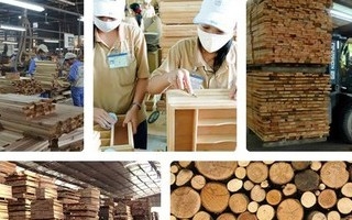COVID-19 fallout reverberates around Vietnam's wood industry