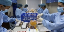 latest news vietnamese government responses to covid 19 epidemic