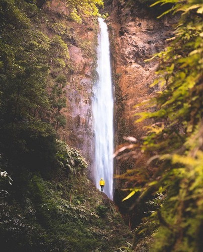 agora names four vietnamese photos top 50 stunning nature shots