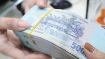 state bank of vietnam will continue to stabilize the forex market