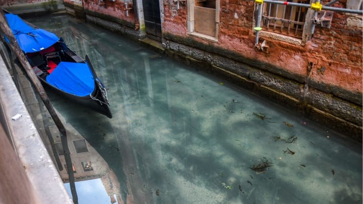 italys venice turns crystal clear amid covid 19 nationwide lockdown