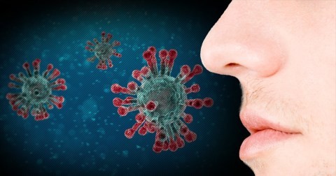 coronavirus symptoms sudden lost of smell and taste