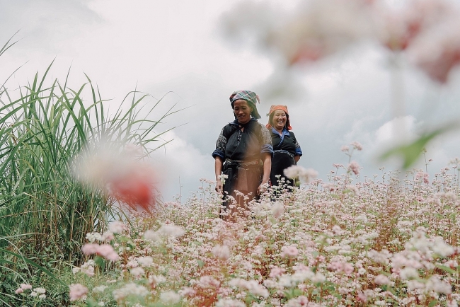 Impressive flower photo collection across Vietnam from a fresh photographer