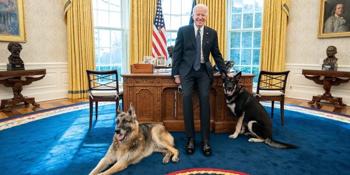 World breaking news today (March 31): Bidens' dog Major involved in another biting incident
