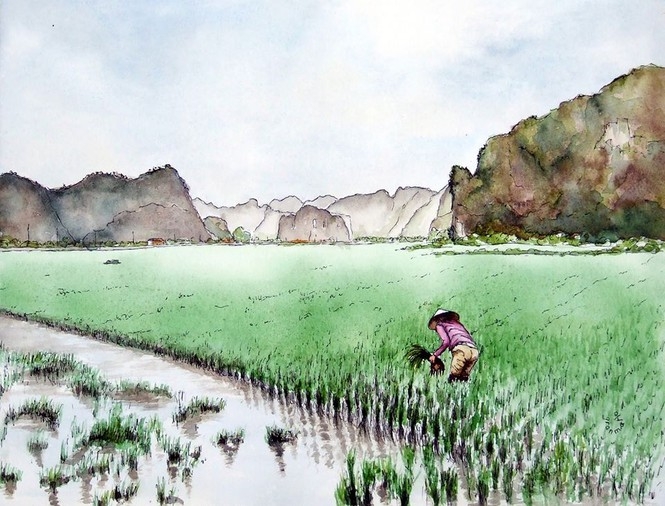 a french tourist draws vietnam unique beauties his way