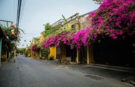 Hoi An boasts unexpected charm during COVID-19 lockdown