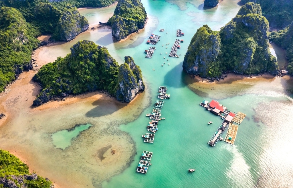 mesmerizing bays in vietnam to draw tourists