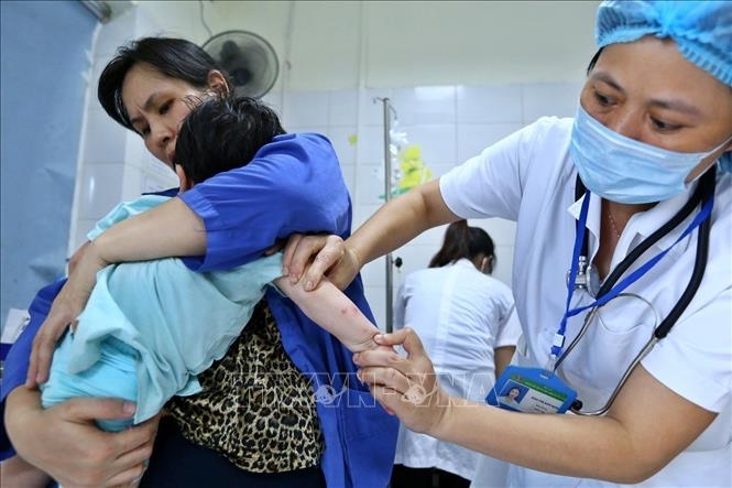 In Photos: Vietnam in good control of infectious diseases