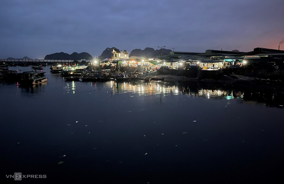 Vibrant nightlife at fish market in Bai Tu Long Bay