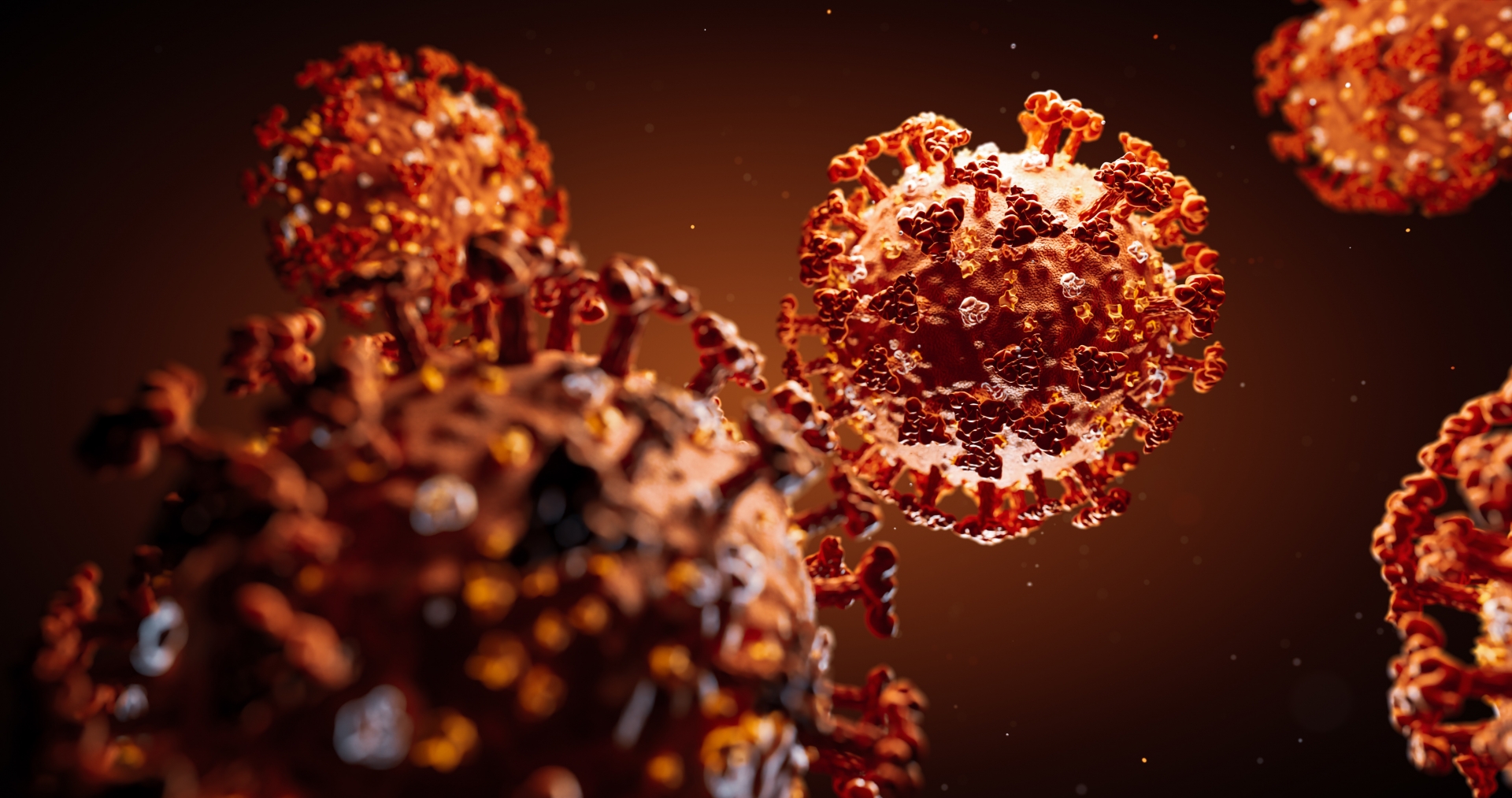 coronavirus breakthrough german scientist find antibodies blocks infection by sars cov 2 in cells