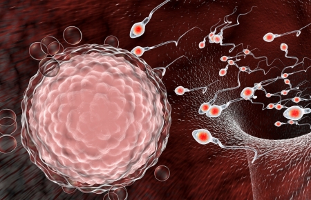 COVID-19 update: Coronavirus found in sperm samples, Chinese doctors say