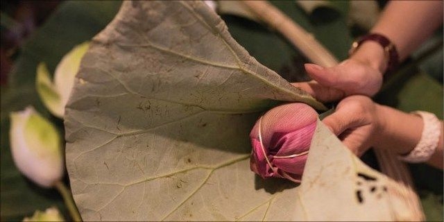 hues lotus tea the fine art in the making